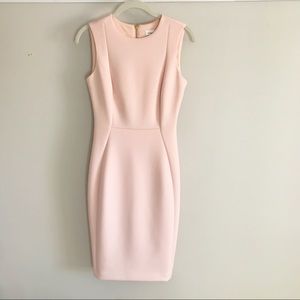 Calvin Klein Blush Dress